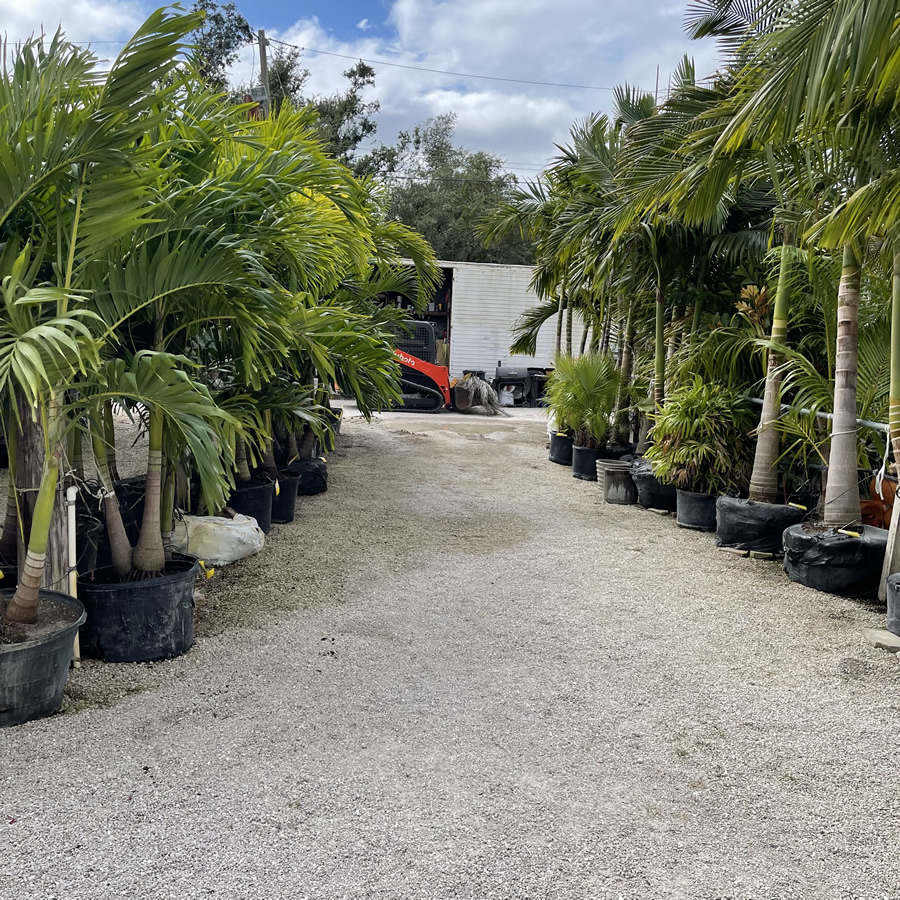 Craigs Perfect Turf Landscaping Nursery Port Charlotte Florida