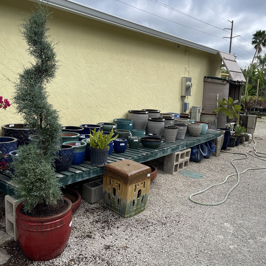 Craigs Perfect Turf Landscaping Nursery Port Charlotte Florida