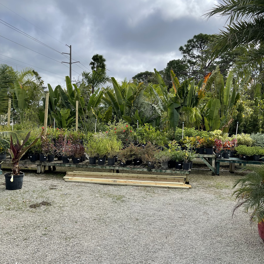 Craigs Perfect Turf Landscaping Nursery Port Charlotte Florida