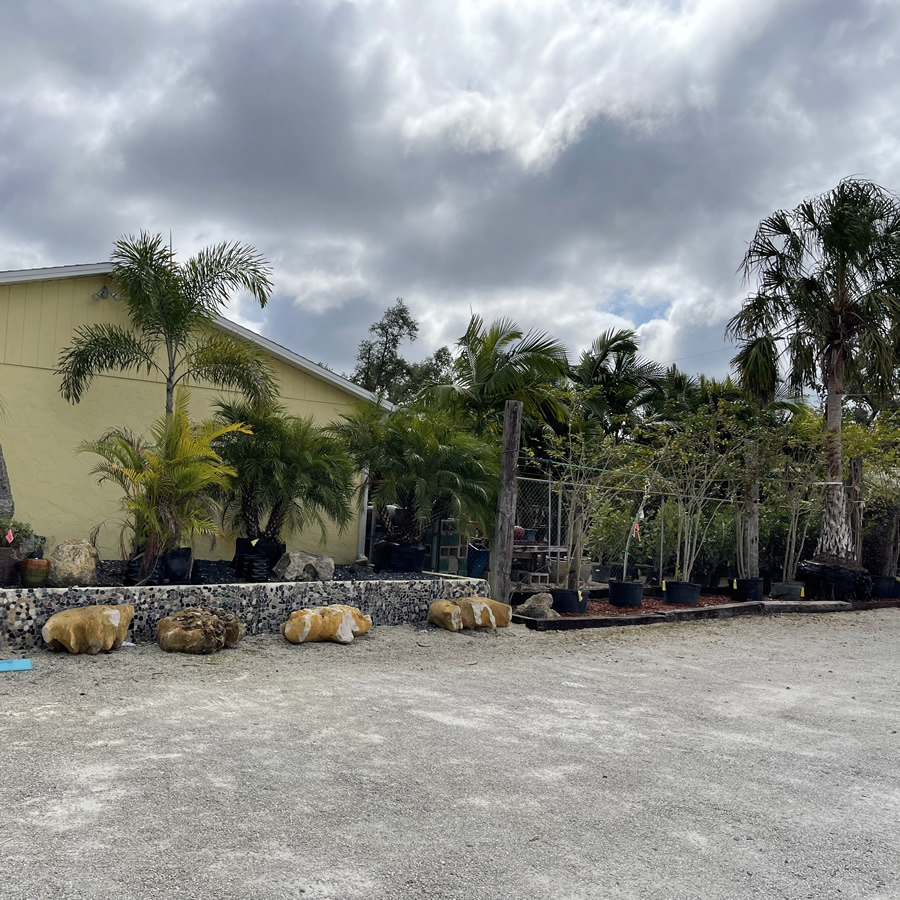 Craigs Perfect Turf Landscaping Nursery Port Charlotte Florida