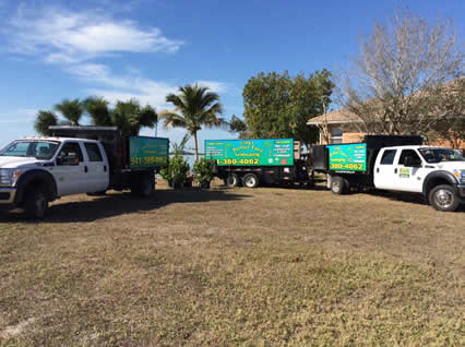 Landscaping Port Charlotte Florida