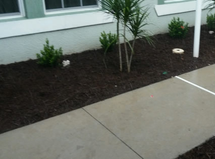 Craig's Perfect Turf Landscaping Rock and Mulch Port Charlotte Florida