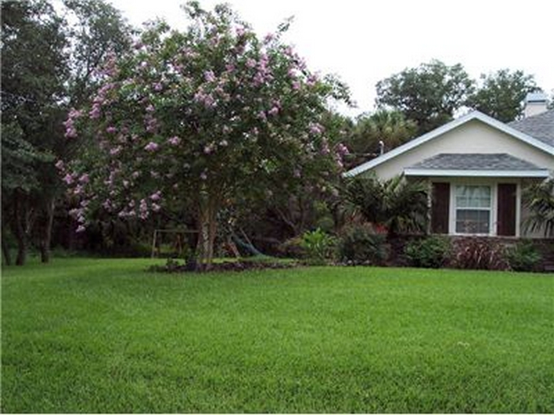 Craig's Perfect Turf Landscaping Plants Port Charlotte Florida